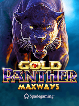 Gold Panther Maxways